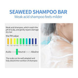 PURC Seaweed Dandruff Shampoo Portable Solid Soap Relieve Itching Anti Flakes Scalp Treatment Moisturizing Hair Care For Travel