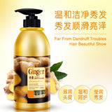 BIOAQUA Natural Herbal Ginger Shampoo and Conditional Anti Hair Loss and Hair Growth Fast for Oil Control Hair Care 400ml