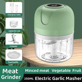 100/250mL Mini Electric Garlic Chopper Ginger Masher Machine Chili Vegetable Crusher Kitchen Tool Sturdy Durable USB Charging