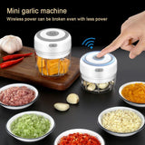 Mini Electric Kitchen Chopper Garlic Masher Meat Grinder Food Garlic Vegetable Chopper Crusher Rechargeable Food Processor