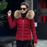 Winter Down Coat Fashion Solid Chic Short Fur Coat Hooded Female Oversize Jacket Cotton Padded Wadded Parkas Wind Breaker