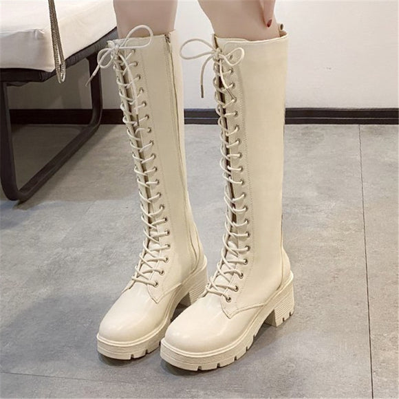COOTELILI Women Winter Warm Boots Shoes 6cm Heel Around Toe Boots For Woman Fashion Zip And Lace Up Shoes Botas Mujer Size 35-39