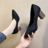 2021 spring and autumn French high heels female thick heel pointed black new small fresh girl single shoes